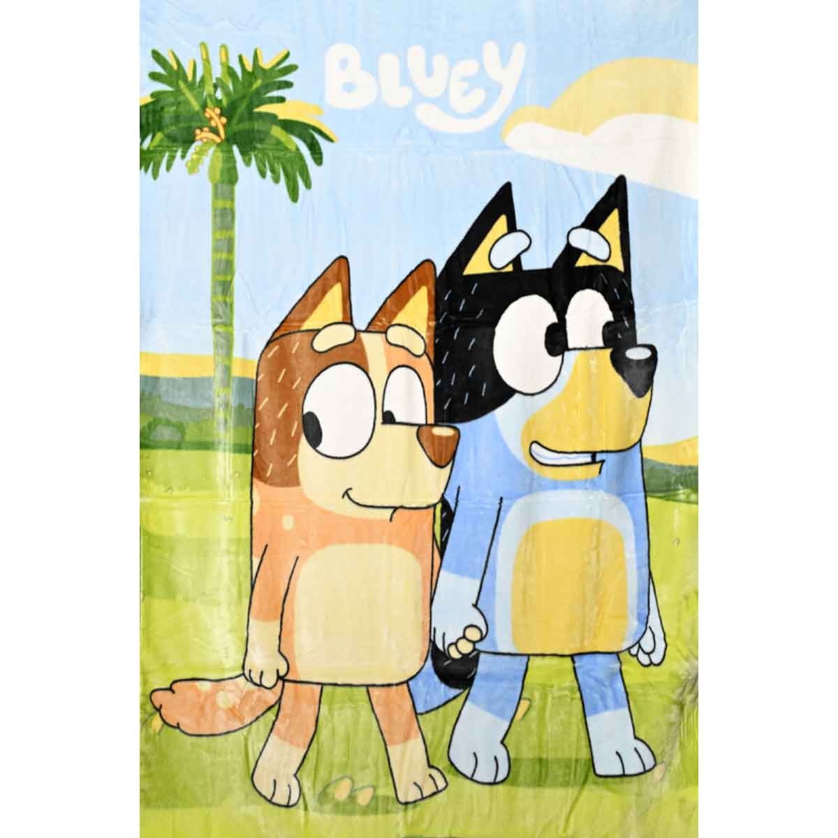 بلوي بطانية راشيل باللون الأزرق مصنوعة من %100 بوليستر