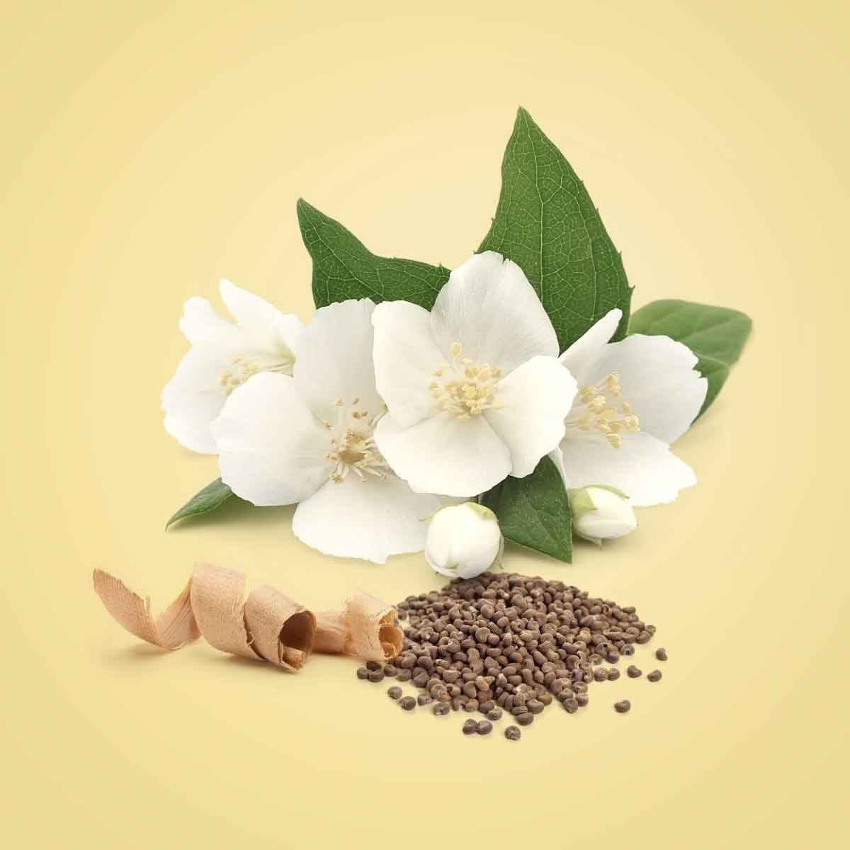 كالفن كلاين بيوتي أو دو برفيوم نسائي