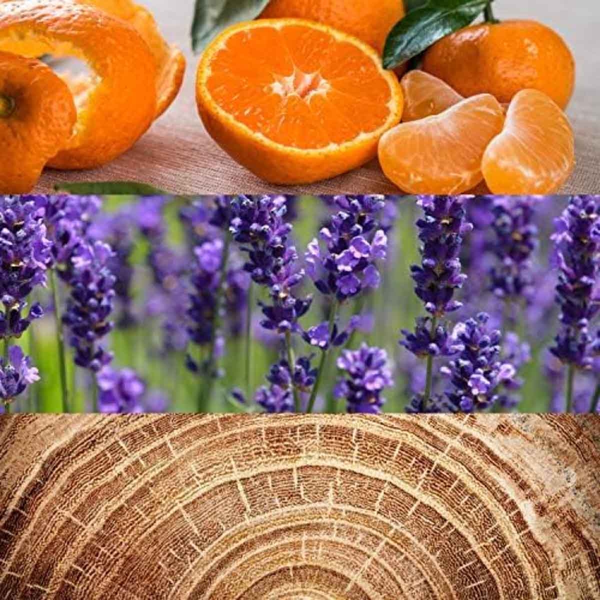 كالفن كلاين أوبسيشن أو دو تواليت رجالي