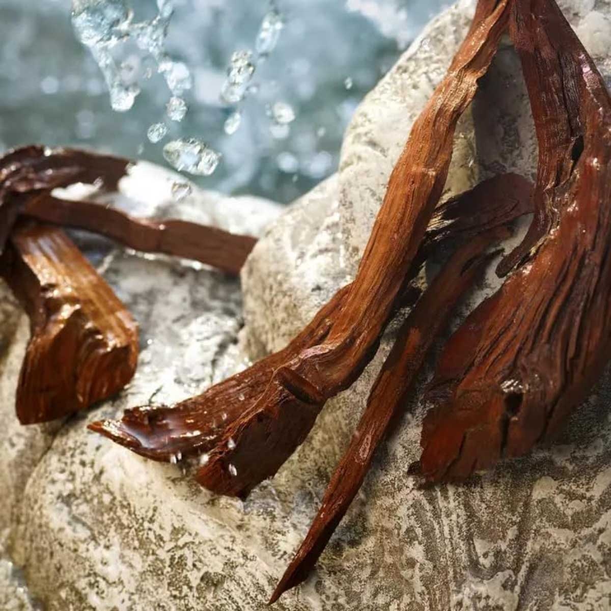 دولتشي آند غابانا لايت بلو أو دو تواليت للنساء