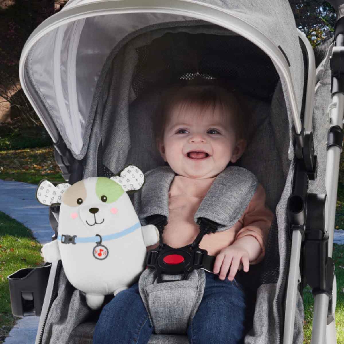 فيشر برايس لعبة محشوة جرو مهدئ بإيقاعات مريحة للأطفال، 0-2 سنوات