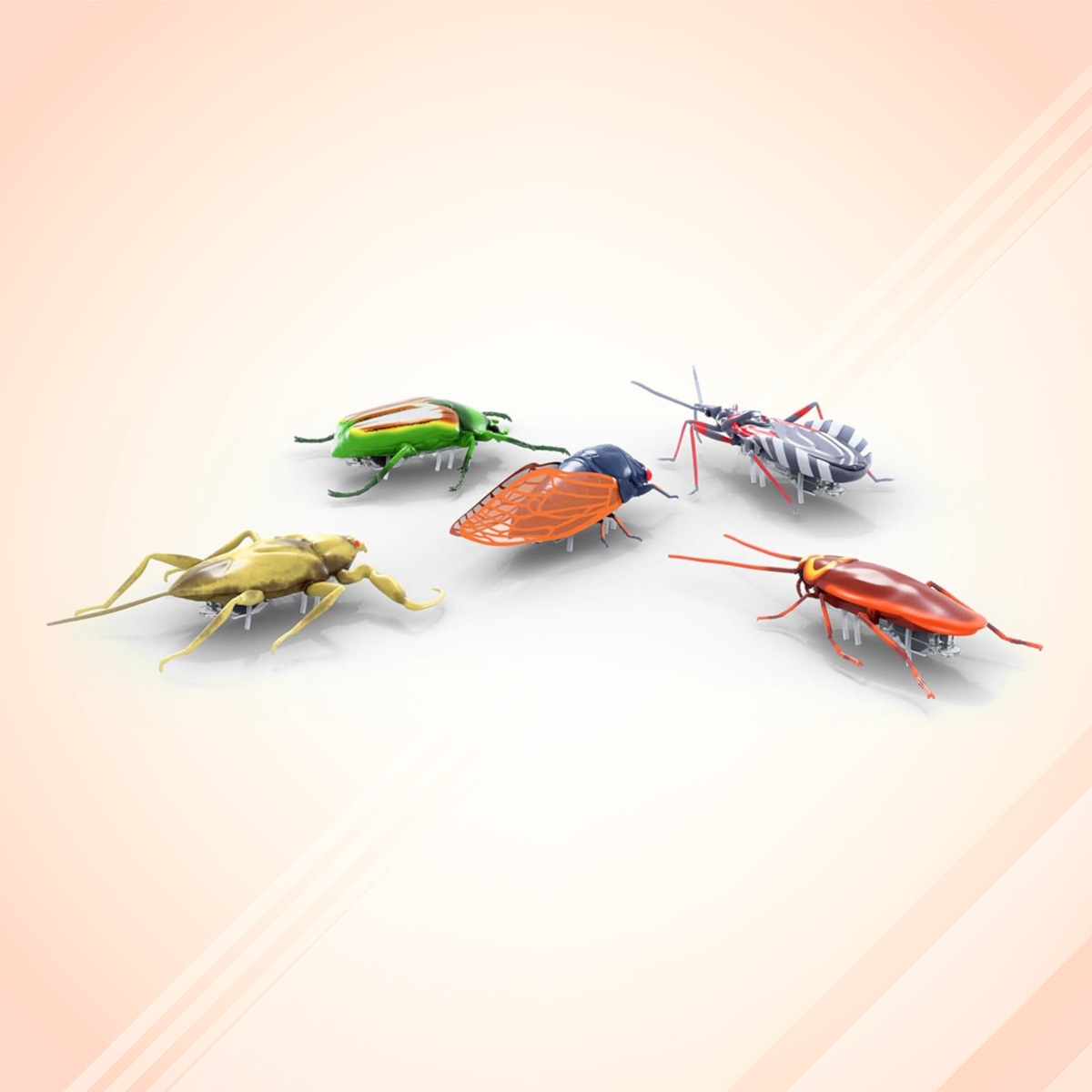 هيكس بوتس لعبة حشرات نانو حقيقية زائفة زاحفة للجنسين، 3-4 سنوات، مجموعة من 5