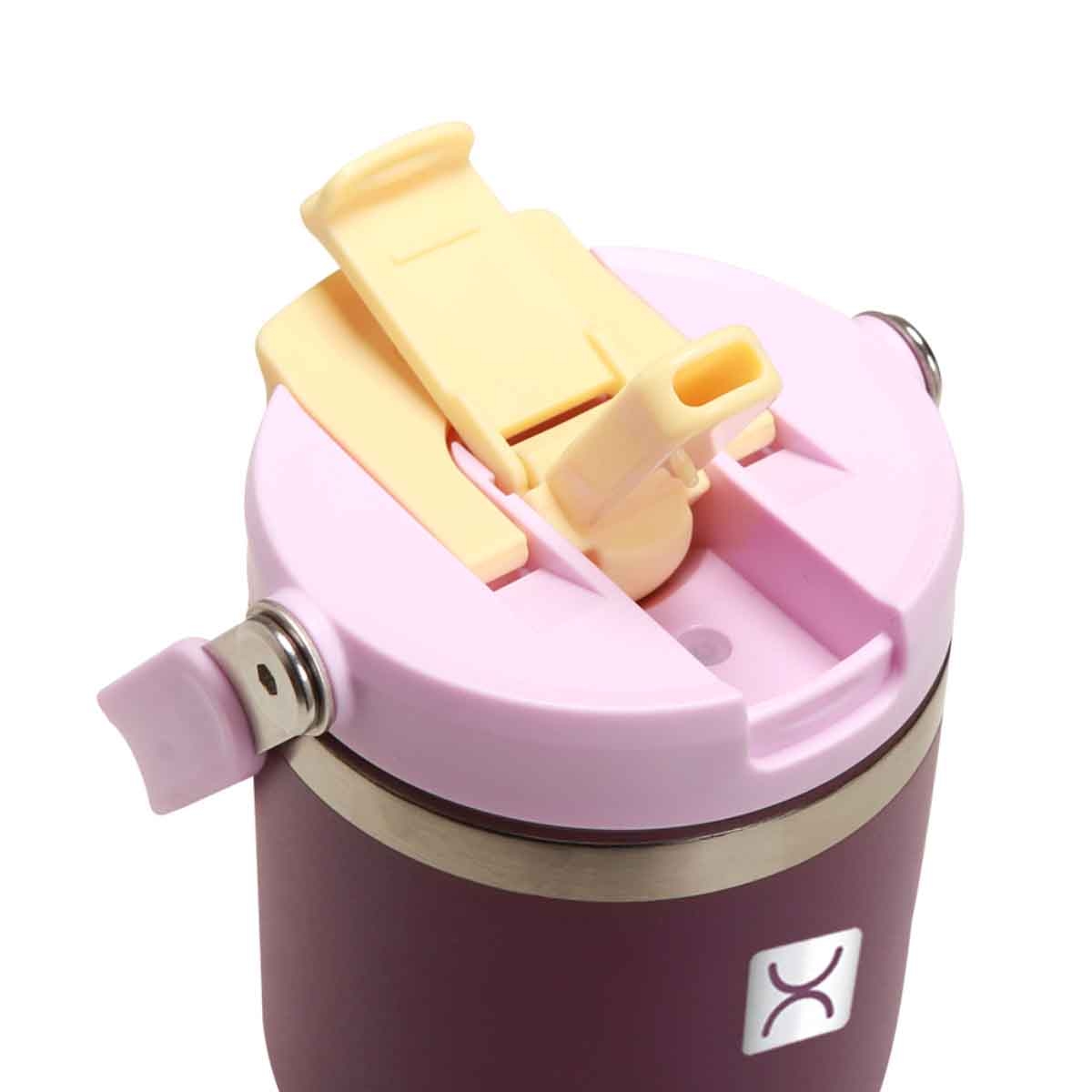 هايدروبرو تامبلر معزول 500 مل بمقبض