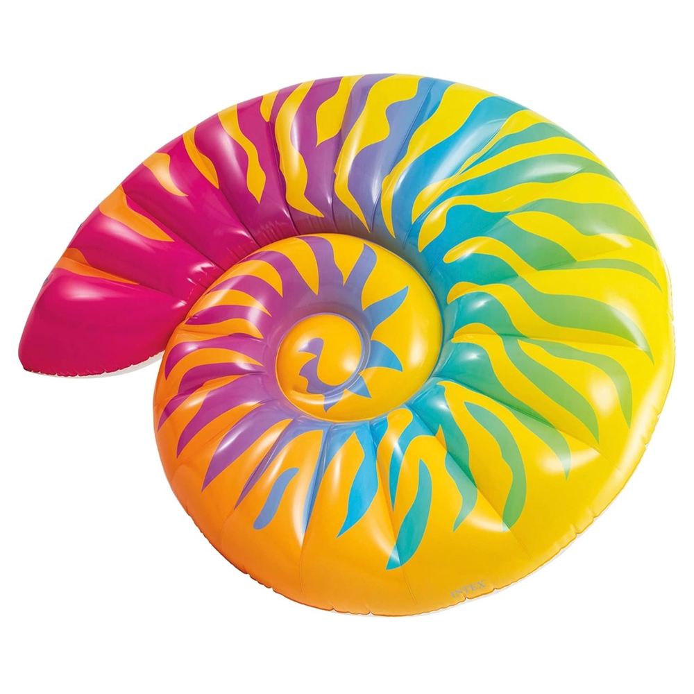 إنتكس عوامة قوس قزح على شكل صدفة للجنسين، 13 سنة فما فوق