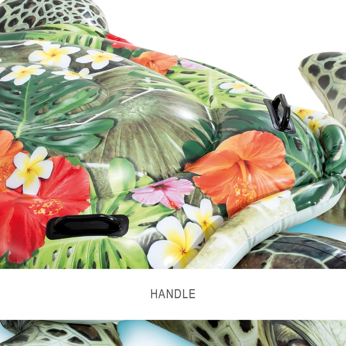 إنتكس عوامة السلحفاة البحرية الواقعية للجنسين، من 3 إلى 4 سنوات