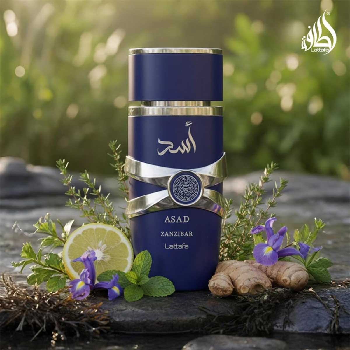 لطافة اسد زنجبار او دو بارفان للرجال