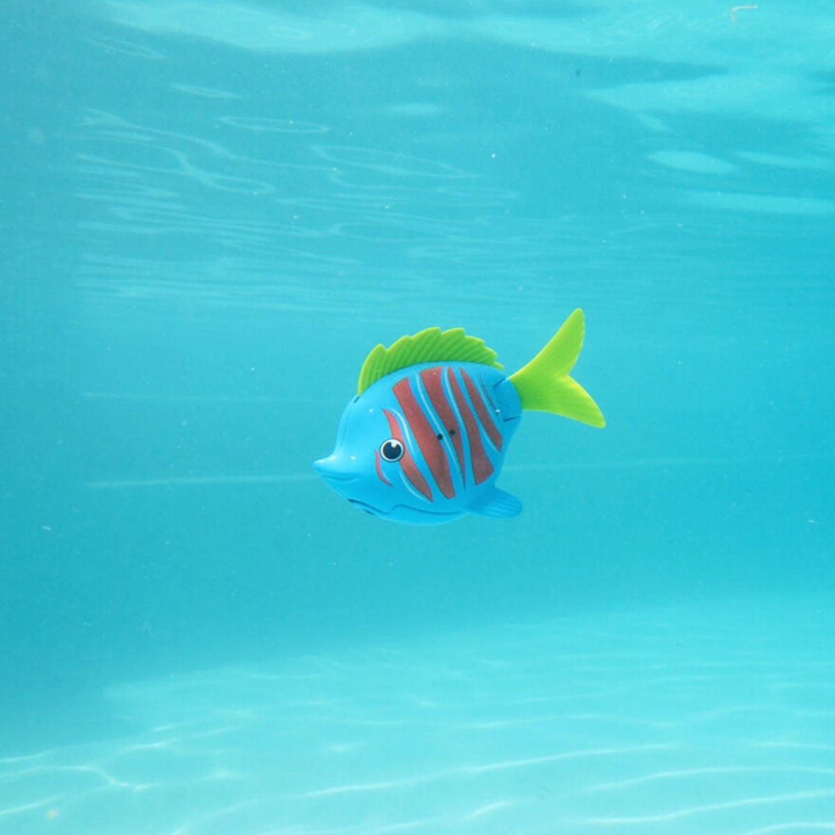 سويم وايز رينبو ريف لعبة سمكة الفايتر المائية للجنسين 5-7 سنوات