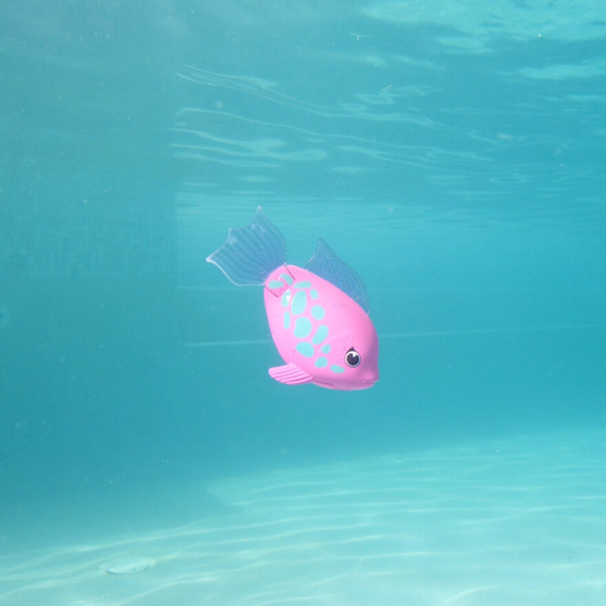 سويم وايز رينبو ريف لعبة سمكة قوس قزح المائية للجنسين 5-7 سنوات