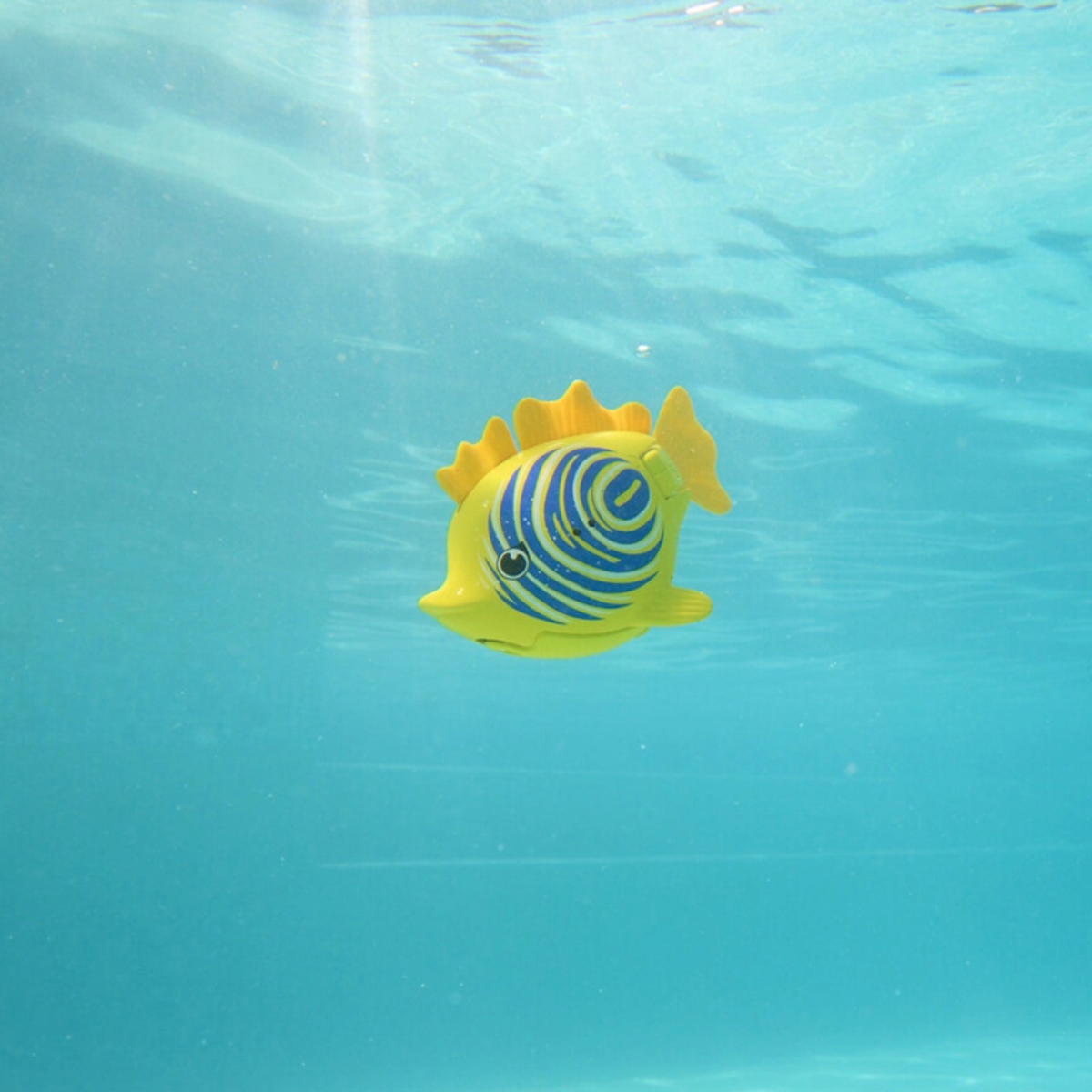 سويم وايز رينبو ريف لعبة سمكة الزرد المائية للجنسين 5-7 سنوات